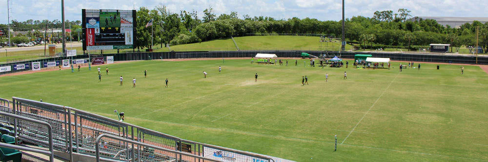 Wintergreen's Summer of Rugby